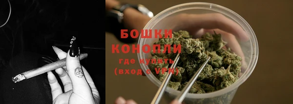 гашик Вязники