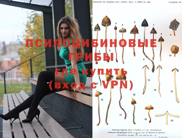 гашик Вязники
