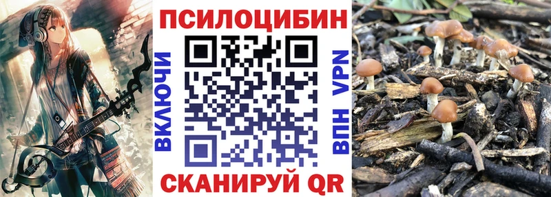 blacksprut сайт  Кохма  Псилоцибиновые грибы Cubensis  даркнет сайт 